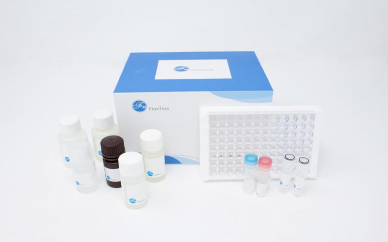 DIABETES / METABOLISM ELISA KITS